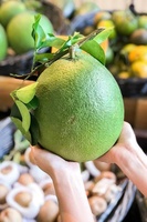 TOPVERKOPENDE Nieuwe Oogst 2025 Vietnamese Rode Vlees Groene Schil Biologische Premium Pomelo Grapefruit Gezond Hoogwaardig Voedzaam Vers