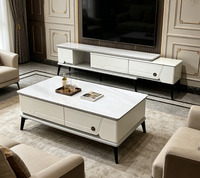 Ensemble de meuble TV et table basse de luxe pour salon, design moderne et minimaliste, idéal pour petit appartement