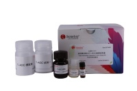 Kit de Ensayo de Capacidad Antioxidante Total (T-AOC) de Solarbio (Método FRAP) para Investigación Científica
