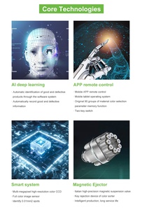 Hạt Dẻ Máy Chế Biến Hạt Dẻ Phân Loại Máy Rộng Đậu Màu SORTER - Product Image 2