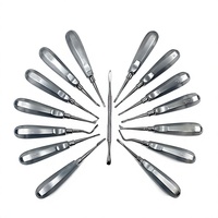 Ensemble d'instruments chirurgicaux dentaires en acier inoxydable, outils manuels à poignée moletée, classe I, certifié CE, couleur argent