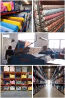 Hochwertiger Atmungsaktiver Metallischer Seidenvelours-Stoff Glänzendes Transparentes Garn Lamé für Abendkleider Röcke Sofa Fluoreszierend für