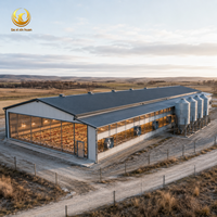 Bâtiment Agricole en Acier Préfabriqué Personnalisé, Entrepôt, Poulailler, Bâtiment d'Élevage de Poulets de Chair, Hangar de Production d'Œufs Ventilé