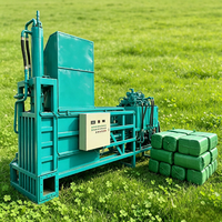 Presse à balles hydraulique pour paille de riz, machine à briquettes de paille de riz, équipement de recyclage des déchets agricoles