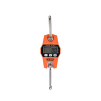 Balance électronique de poche durable haute précision numérique 300KG grue de voyage pour bagages à main Mini balance suspendue avec crochet