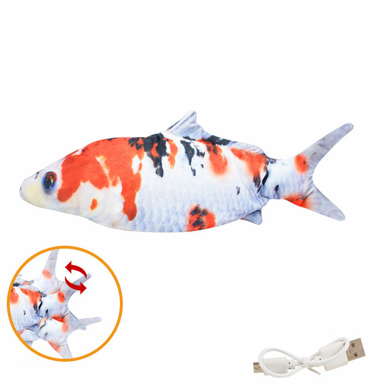 9. Poisson Koi