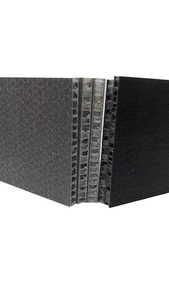 PP vật liệu nhựa nhiệt dẻo tổ ong <span class=keywords><strong>Composite</strong></span> Panel cho carria tường phòng tắm tốc độ cao đường sắt sàn sợi thủy tinh tấm nhựa - Product Image 3