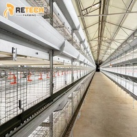 Cage d'élevage de poulets de type H galvanisée à chaud à 3 ou 4 niveaux pour 50 000 poussins