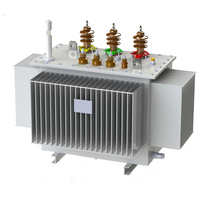 Mini transformateur 12v 11kv 110v 220v en alliage amorphe immergé dans l'huile