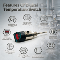 Controlador de Temperatura Digital Electrónico con Sensor PT100, Carcasa de Acero Inoxidable IP67, Personalizable OEM/ODM