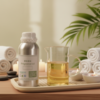 Désodorisant Liquide Écologique Commercial – Huiles Essentielles Végétales Naturelles – Technologie de Diffusion Nano Brume Sèche – Maison et Bureau