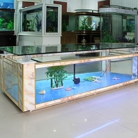 Aquarium rectangulaire en verre de luxe de haute qualité, design ultra silencieux, taille et couleur personnalisables, table de salon