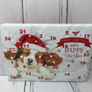 <span class=keywords><strong>Calendario</strong></span> de <span class=keywords><strong>Adviento</strong></span> de Navidad personalizado golosinas para mascotas caja de regalo de Cuenta Regresiva impermeable y portátil para perros y <span class=keywords><strong>gatos</strong></span> con impresión en relieve - Product Image 4
