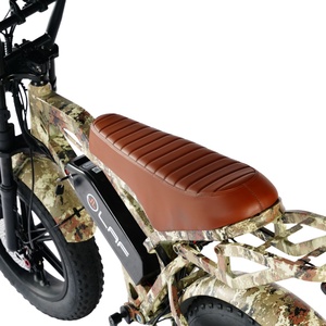 Bicicleta Eléctrica de 72v con Doble Freno de Disco, Suspensión Completa, Fatbike V20, Bicicleta de Montaña con Llantas Gruesas, Venta al por Mayor, 48V 750W 15ah - Product Image 3