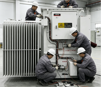 Transformador de Distribución Trifásico Rainbow S13-M-500 de Alta Eficiencia, Herméticamente Sellado, Sumergido en Aceite, Bobinado de Cobre Puro, 10kV