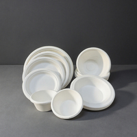 Boîte à lunch jetable biodégradable écologique Assiette carrée en pâte de canne à sucre Assiettes de bagasse en canne à sucre