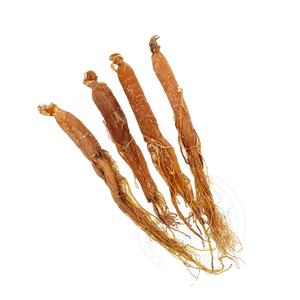 100% saf doğal çin kurutulmuş ot kırmızı <span class=keywords><strong>Ginseng</strong></span> kökü yüksek kalite 800g ham sağlık çay için işlenmiş - Product Image 1
