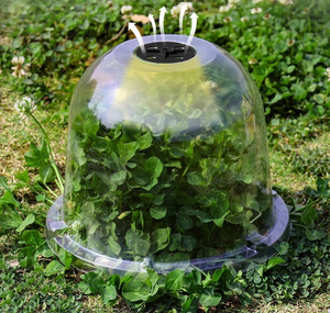 Cúpula Transparente Alta para Plantas con Ventilación Ajustable, Cubierta Protectora Grande para Plántulas <span class=keywords><strong>de</strong></span> Vegetales, Frutas y Flores - Product Image 6