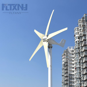 พัดลมกังหันลมแบบแนวนอนขนาดเล็ก 12/24/48v สำหรับใช้ในบ้าน 1000w 500w Fz 1kwwind Po Fz 1kwwind Fz จากคลังสินค้ายุโรป - Product Image 2