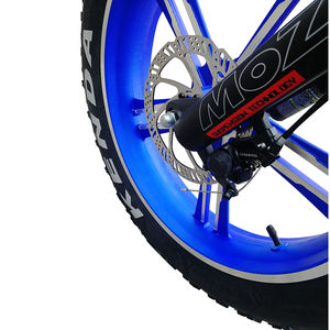 Vélo électrique pliable de 20 pouces avec batterie au lithium homologuée CE EN15194, pneus neige Kenda 20 <span class=keywords><strong>x</strong></span> 4.0, jantes en alliage, 48 V 500 W, 750 W - Product Image 4