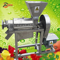 Presse-agrumes à vis pour fruits et légumes Presse à froid Machine d'extraction de jus commerciale Presse-agrumes pour fruits