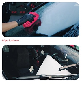 GL59 Detergente Protettivo per Vetri Auto, Lucidante per Vetri e Prodotto per la Cura degli Occhiali, Spray Pratico, OEM ODM - Product Image 3