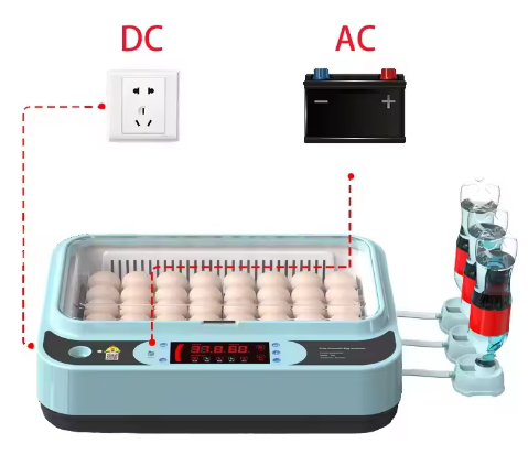 High Quality PE Material Fully Automatic Egg Incubators Intelligent Temperature Control Egg Hatching Equipment for Poultry Farm