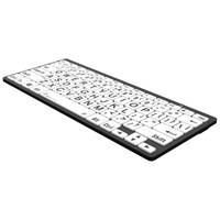 Clavier miniature en braille et en caractères larges noir sur blanc pour Windows