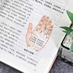 Guida Completa a Cinque Libri e Tre Vite per la Conservazione della Salute, Edizione con Annotazioni e Recensioni, Volumi 1-10, Originale - Product Image 5