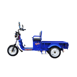 รถสามล้อบรรทุกสินค้าไฟฟ้า3ล้อสำหรับงานหนัก1ม. พร้อมโครงเหล็กมอเตอร์แบบเปิดมอเตอร์ได้รับการรับรอง CCC สำหรับใช้ในฟาร์ม - Product Image 3