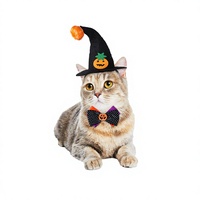Chapeau de sorcière d'Halloween pour animaux de compagnie, réglable, en feutre, costume de chat avec décorations citrouille, chauve-souris, araignée, fournitures de fête d'Halloween pour chats et petits chiens