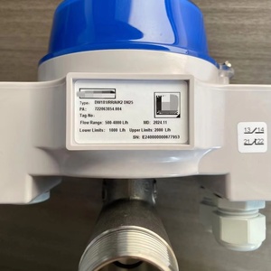 เครื่องควบคุมการไหลแบบกลไกใหม่ รุ่นดั้งเดิม โฟลว์มิเตอร์ Krohne DW181/RR/A/K2 สำหรับของเหลวสะอาด - Product Image 2