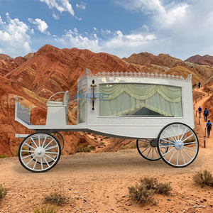 Cercueil funéraire élégant et personnalisé à vendre, dernière carrosse funéraire à chevaux en métal et bois, style moderne - Product Image 1