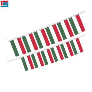 Wholesale 2025 Football Events 5.5x8 Inches Italy String Bunting <b>Flags</b> Polyester Material Indoor Outdoor Decoration (20pcs/set) - Product Image 5