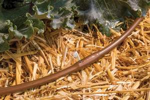 <span class=keywords><strong>Tuyau</strong></span> d'irrigation en plastique PE de 1/4in X 100ft avec émetteurs pour systèmes d'irrigation <span class=keywords><strong>goutte</strong></span> à <span class=keywords><strong>goutte</strong></span> - Product Image 3