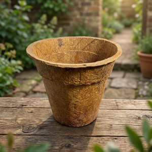 Maceta Ecológica Biodegradable Lista para Usar con Fibra de Coco Natural para Cultivo de Plantas - Product Image 2