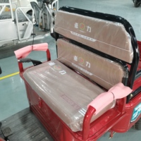 Vehículo Eléctrico, Motor de 800w, Dimensiones 2400*790*1120mm, Triciclos Eléctricos de Pasajeros de Alta Calidad