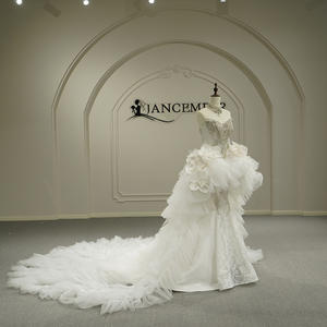 Robe de mariée grande taille de style moderne de haute qualité Gt26043, décolleté cœur, traîne chapelle, appliques en dentelle, 100 % polyester - Product Image 6