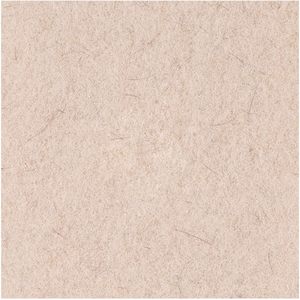 19 pulgadas. Almohadillas de Pulido para Pisos de Pelo de Cerdo Natural Beige, Paquete de 5 - Boardwalk BWK4019NHE - Product Image 1