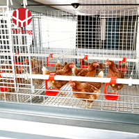 Cage à poulets de chair de type H, cage à batterie pour poulets de chair, 4 niveaux, galvanisée à chaud, ventilation haute densité, CE, bande à fumier, sol en plastique