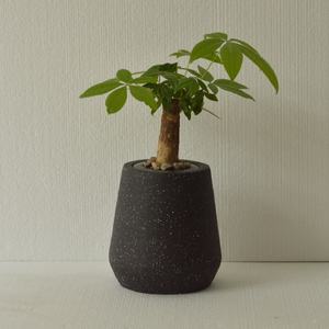 Macetas de Fibra de Arcilla con Diseño Único Personalizado, Decoración Interior y Exterior - Product Image 1