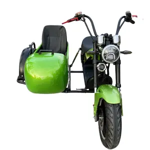 The Best Selling Wholesale Fashion 2000w Brushless Motor 60V20AH Off Road Adult removable battery electric tricycle