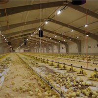 Estructuras de Acero Portales Soldadas Ligeras y Duraderas para Cobertizos de Ovejas/Vacas/Cabras, Totalmente Cerrados o Semi-Cerrados, para Granjas, con Servicio de Corte y Doblado