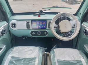 Coche Eléctrico <span class=keywords><strong>de</strong></span> Nueva Energía Mini con Batería <span class=keywords><strong>de</strong></span> Litio <span class=keywords><strong>de</strong></span> Largo Alcance, <span class=keywords><strong>de</strong></span> Alta Calidad y al <span class=keywords><strong>Precio</strong></span> Más Bajo, <span class=keywords><strong>para</strong></span> Transporte Familiar <span class=keywords><strong>de</strong></span> Adultos - Product Image 6