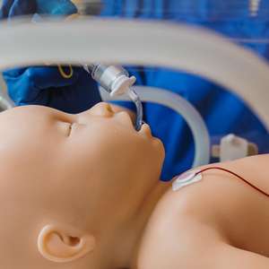 Simulador Médico de Silicona de Alta Gama <span class=keywords><strong>Mia</strong></span> de POYTON MEDVISION - Product Image 4