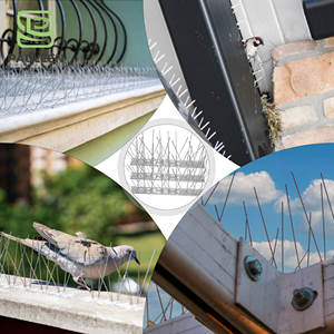 Pointes anti-oiseaux en acier inoxydable 30CM 50CM <span class=keywords><strong>pour</strong></span> le contrôle <span class=keywords><strong>des</strong></span> pigeons et <span class=keywords><strong>des</strong></span> insectes, logo personnalisable - Product Image 4