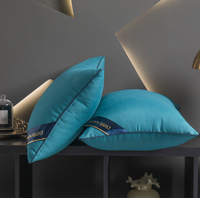 Oreiller de luxe pour hôtel, 1000g, pour un sommeil sain, inspiré des hôtels Hilton, classé 5 étoiles pour le confort et le soutien du cou, motif uni