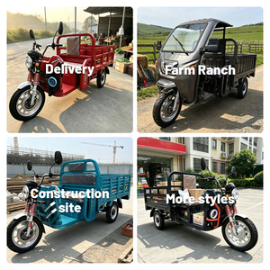 Triciclo de 3 Ruedas 48V Directo de Fábrica, 25km/h, Baja Velocidad, para Entrega en Granjas, Neumáticos sin Cámara, Llanta de Aluminio, Carga Pesada - Product Image 3