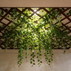 Tang Si Artificial Rose <b>Leaf</b> Vines 200cm Silk Flower <b>Decorative</b> Greenery <b>Wall</b> Hanging Plant Strip - Product Image 4