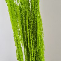 Fleurs conservées Amarante Nature plante séchée Amaranthus pour la décoration de la maison de mariage
